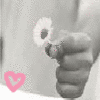 Flowers avatars