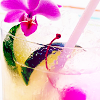 Flowers avatars