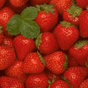 Fruit avatars