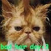 Hair avatars