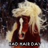 Hair avatars