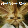 Hair avatars