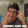 Hair avatars