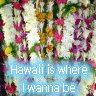 Hawaii avatars