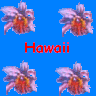 Hawaii avatars