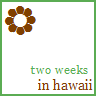 Hawaii avatars