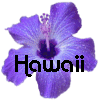 Hawaii avatars