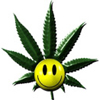 Humor avatars