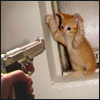 Humor avatars