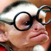Humor avatars