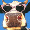 Humor avatars