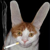Humor avatars