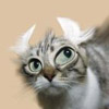 Humor avatars