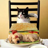 Humor avatars