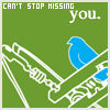 Love avatars