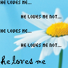 Love avatars