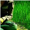 Love avatars