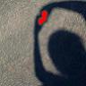 Love avatars