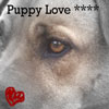Love avatars