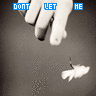 Love avatars
