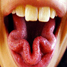 Mouths