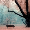 Nature avatars