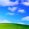 Nature avatars