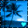 Palm tree avatars