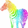 Rainbow avatars