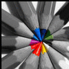 Rainbow avatars