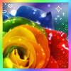 Rainbow avatars