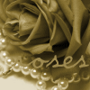 Roses avatars