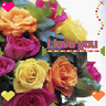 Roses avatars