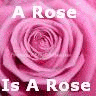 Roses avatars