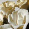 Roses avatars