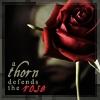 Roses avatars