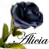 Roses avatars