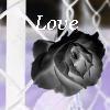 Roses avatars