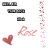 Roses avatars