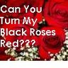 Roses avatars