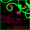 Roses avatars