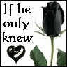 Roses avatars