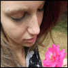 Roses avatars