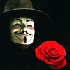 Roses avatars