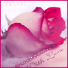 Roses avatars