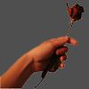 Roses avatars