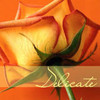 Roses avatars