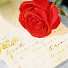 Roses avatars
