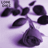 Roses avatars