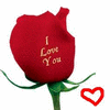Roses avatars